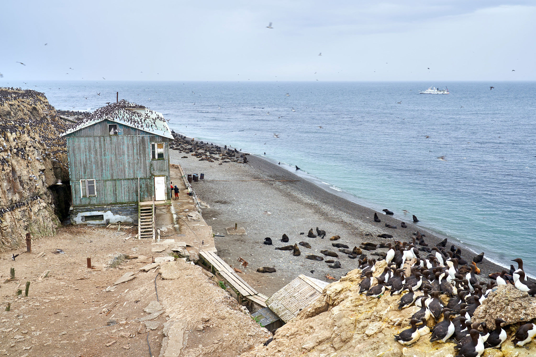 Tyuleniy Island, Сахалин (Остров Тюлений, Сахалин)